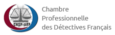 Certification professionnelle DPL Intelligence